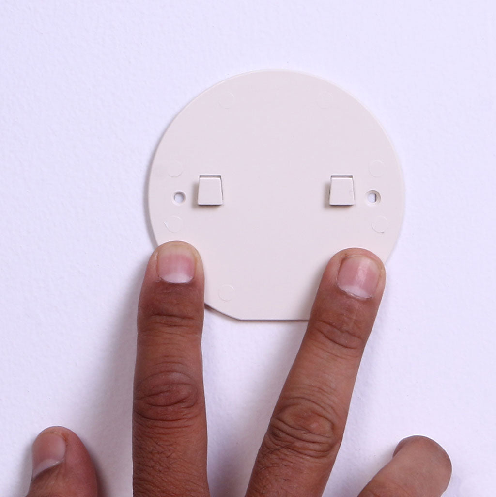 Luma Peacock LED Wall Lamp