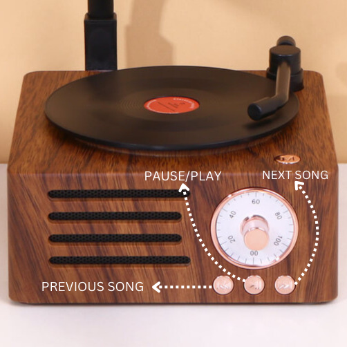 Retro Gramophone Bluetooth Speaker with Rotating Disc